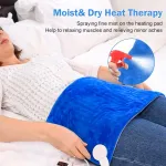 RIOGOO 60x30 cm elektriline soojendusmatt lemmikloomadele