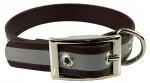 Koera kaelarihm BIOTHANE helkuritega, 30&ndash;40 cm, 25 mm