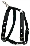 Koera rakmed STRONG GUARD, suurus L, tugevdatud