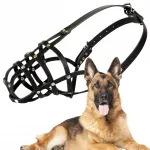 Koerakuulik DINGO nahast naelutatud nr 7, &uuml;mberm&otilde;&otilde;t 36 cm, saksa lambakoerale