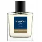 Meeste tualetivesi MELODY Symphony Intense 100 ml
