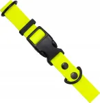 Veekindel v&auml;ike reguleeritav koera kaelarihm, NEON YELLOW, 20&ndash;35 cm, XS