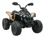 Laste elektriline ATV CAN AM RENEGADE, 24V, 400W