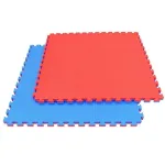 Spordimatt DBX Bushido Tatami, 1x1 m, 4 cm, klubidele ja koju