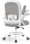 Ergonoomiline DoChair kontoritool 3D nimmetoega