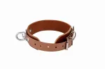 Koera kaelarihm biotaanist ja nahast, 38 mm, 38&ndash;52 cm