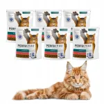 Kuiv toit steriliseeritud kassidele veiselihaga PERFECT FIT, 6 x 750 g