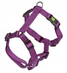 Koera valjad Kerbl Miami, violetset v&auml;rvi, 55&ndash;76 cm x 20 mm