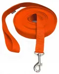 PROMOTION TRAINING 2 m x 1,5 cm koera jalutusrihm