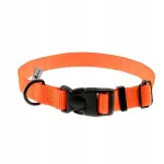 Koera kaelarihm 4wild, 25 mm, 37&ndash;57 cm, neoon