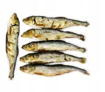 Kuivatatud r&auml;imed kassidele ja koertele, 100 g