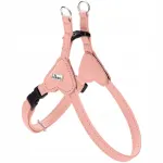 Nahast koera valjad Hunter Soho Mini, hele roosa, 24/XXS-XS