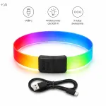 LED-valgustusega veekindel reguleeritav koera kaelarihm WAUDOG, 60 cm, 25 mm, USB