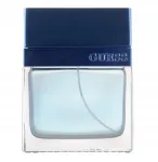 Meeste parf&uuml;&uuml;mvesi Guess Seductive Blue, 50 ml