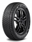 Goodride SW608 talverehv 205/55R16