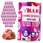 Kasside m&auml;rgtoit Tillo lambalihaga, t&uuml;kid kastmes, 48 x 415 g