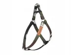 Koerte rakmed amiplay Step-in Adventure S, pruunid