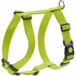 Koera valjad Hunter London VR 32-52, XXS/XS, rohelised