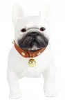 Traadita Bluetooth-k&otilde;lar DOG BULLDOG