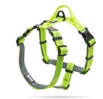Koera valjased Truelove Lumen Lite, helkuriga, kollased, XS