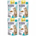 Kassimaiustused GIMCAT Nutri Pockets Denta hammashoolduseks, 4 x 60 g