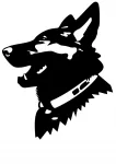 Taustavaba kleebis autole v&otilde;i mootorrattale &bdquo;GERMAN SHEPHERD&ldquo;, 21 x 16,9 cm