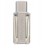 Meeste tualettvesi SALVATORE FERRAGAMO Bright Leather EDT 50ml
