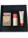 Tualettvesi Dolce & Gabbana THE ONE SPORT 100 ml, du&scaron;igeel, deodorant