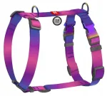 Koera rakmed WAUDOG Gradient Guard, violetset v&auml;rvi, L (65&ndash;95 cm), QR ja 2 pannalt