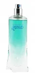 Meeste tualettvesi PUMA CREATE 50 ml