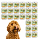 Raw Paleo TURKEY Mini Adult koerapakettpasteet, 24 x 150 g
