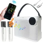 Bluetooth karaoke k&otilde;lar, 10 W, 2 mikrofoniga ja 5 LED valgusega