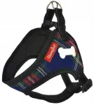 Koera rakmed Champion Comfort helkuritega, suurus 55, survet mitte avaldav, Poola