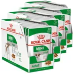ROYAL CANIN Mini Adult koerakonservid, 48 x 85 g