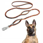 Amordiga koera jalutusrihm WINHYEPET Multi Power, oranž, 2,7 m