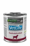 Koeratoit FARMINA Vet Life Gastrointestinal, 300 g