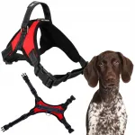 Koera rakmed PETSTORY, punased, suurus L, 64-84 cm, kerged ja ei piira liikumist