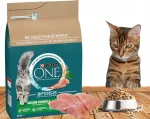Kuiv toit kassidele PURINA ONE Indoor kalkunilihaga, 750 g