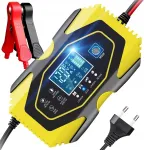 Auto laadija 6A 12V/24V, 10L