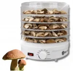 Toidu kuivati 5 resti, 600W, temperatuuri reguleerimisega