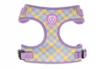 Air Mesh Summer Vibes koera rakmed S