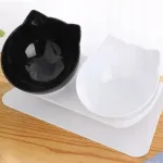 Kausside komplekt koertele ja kassidele koos alusega, 2 x 300 ml