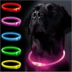 LED-valgustusega koera kaelarihm PetBright Shine, roheline, 70 cm, laetav, veekindel