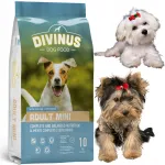 Kuiv koeratoit v&auml;ikestele t&otilde;ugudele Divinus Mini, 10 kg