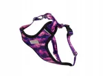 Koera rakmed BeNature Discovery Mountains, S, 30-40 cm