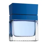 Meeste tualettvesi GUESS Seductive Homme Blue EDT 100 ml
