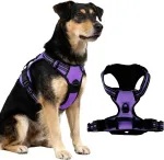 Helkuritega koerte valjad, violetset v&auml;rvi, S M L, reguleeritavad