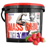 Valguline massi gainer MEGABOL WHEY MASS GAIN 3000 g