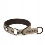 Poolkinnine XXL koera kaelarihm Truelove Funky