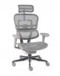 Kontoritool Ergohuman 2 Basic, ergonoomiline, v&otilde;rgust, hall